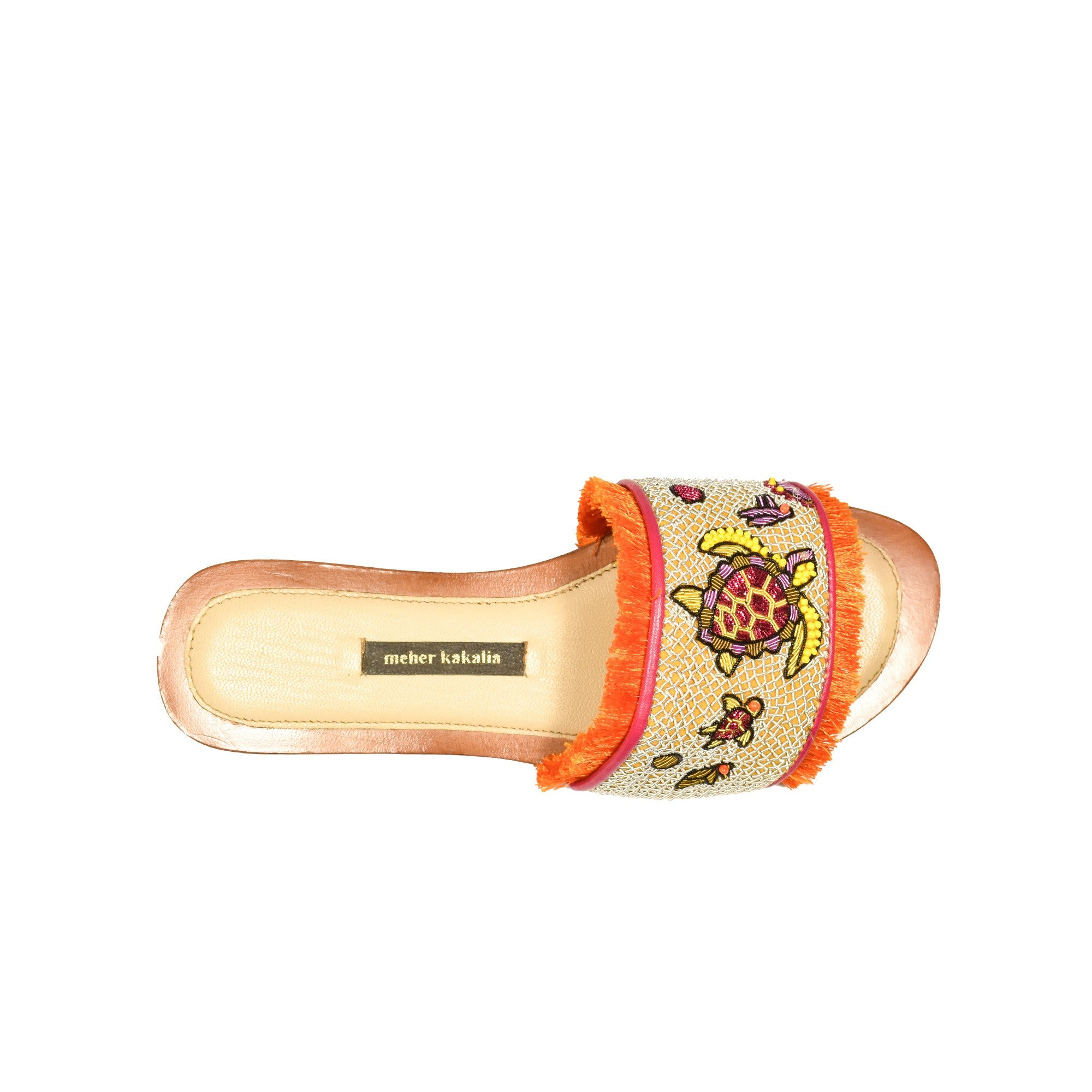 DARWIN SLIDE